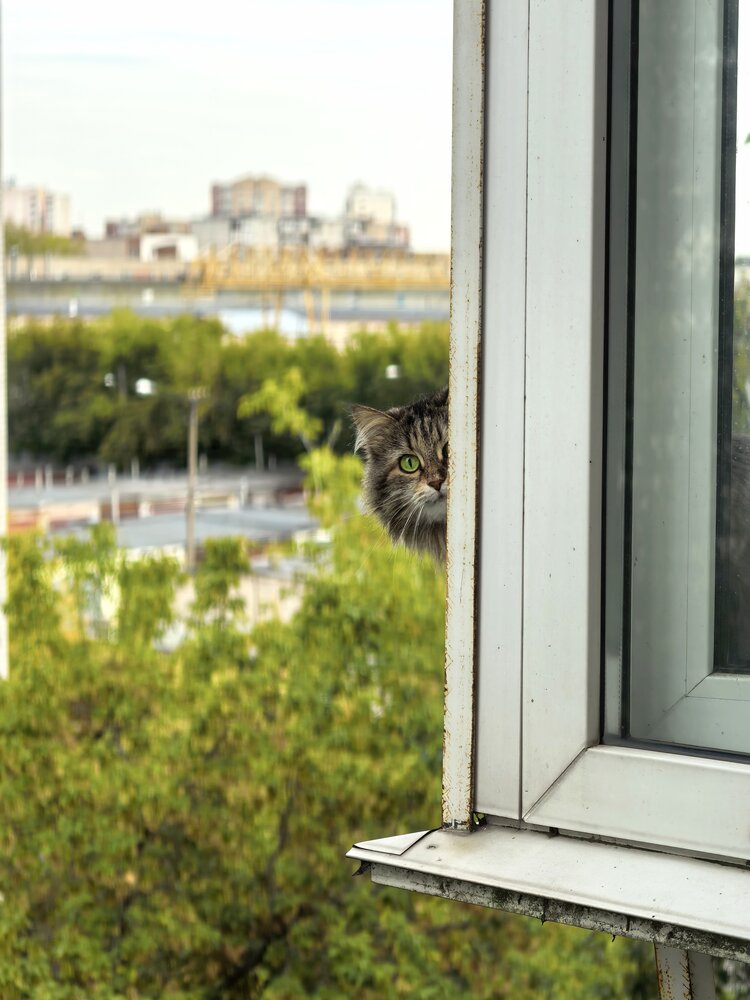 Photograph by Елена Павлова