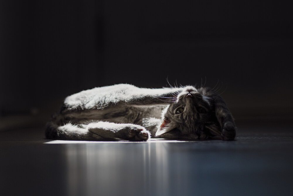 Photograph by Anastasiia Terentieva