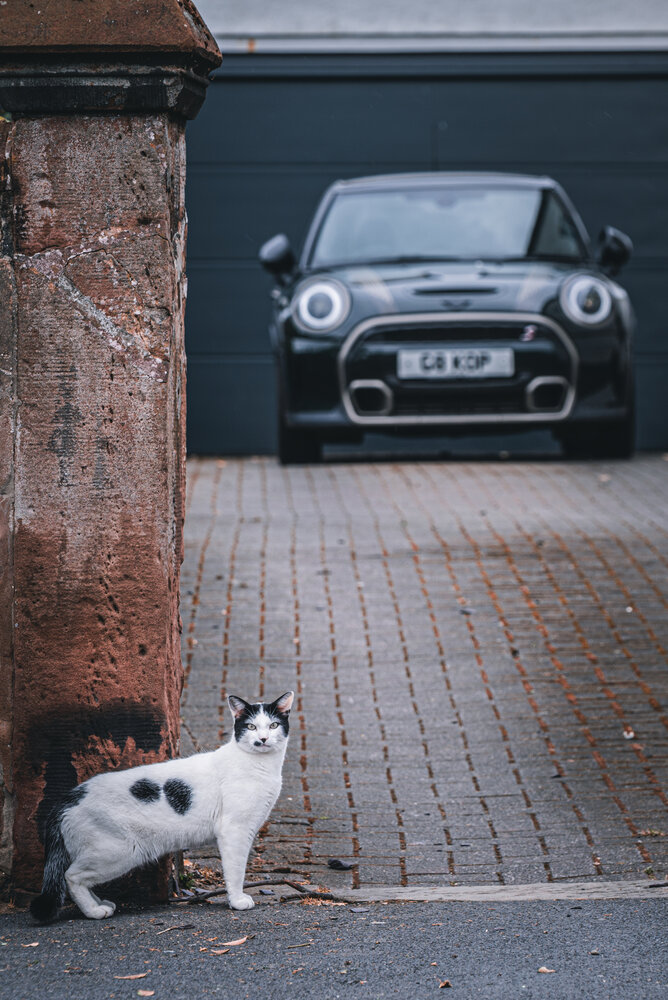 Photograph by Алексей Лобазов