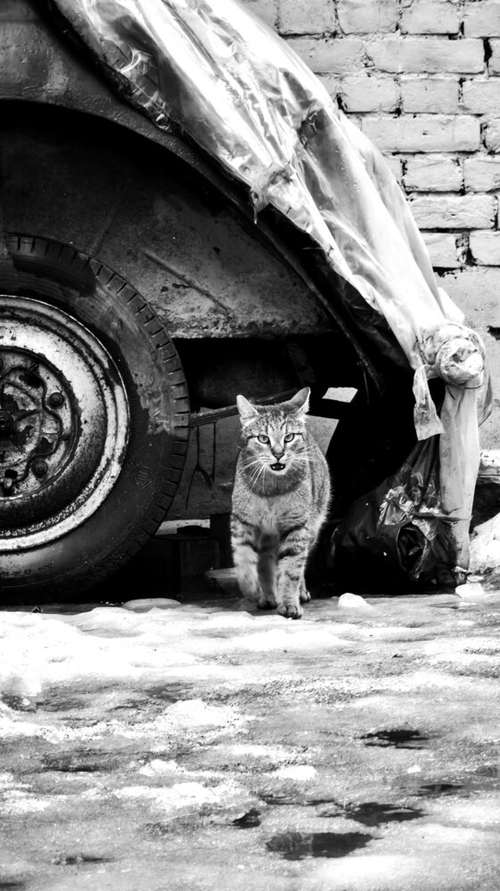 Photograph by Элина Нерсесова