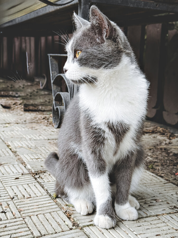 Photograph by Елена Чулюнина