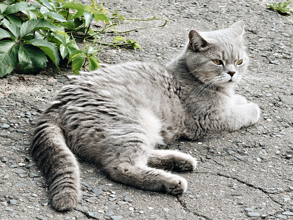 Photograph by Елена Чулюнина