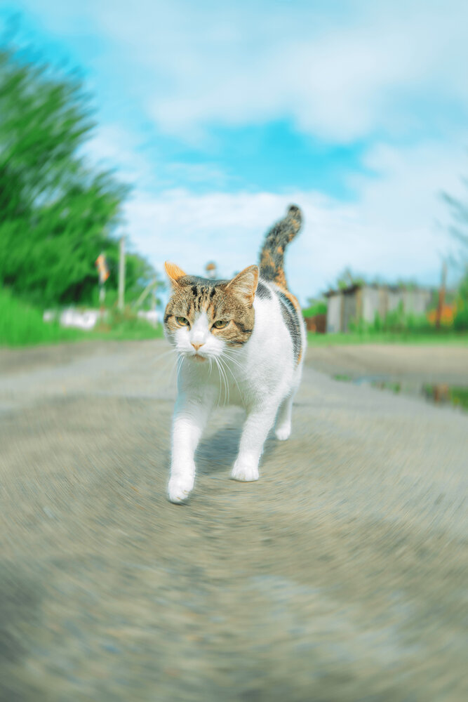 Photograph by Дмитрий Бровко