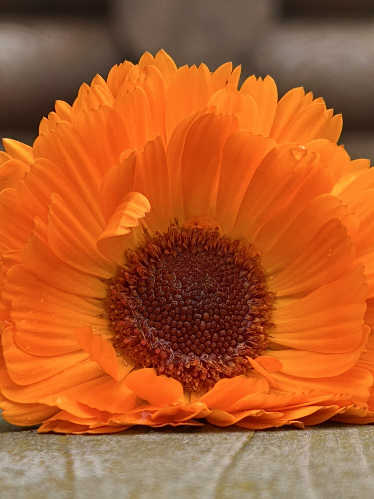 Photograph by Ольга Евтухова
