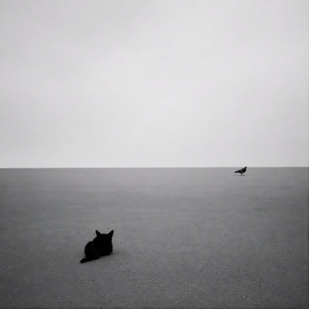 Photograph by Kamyab Saraei