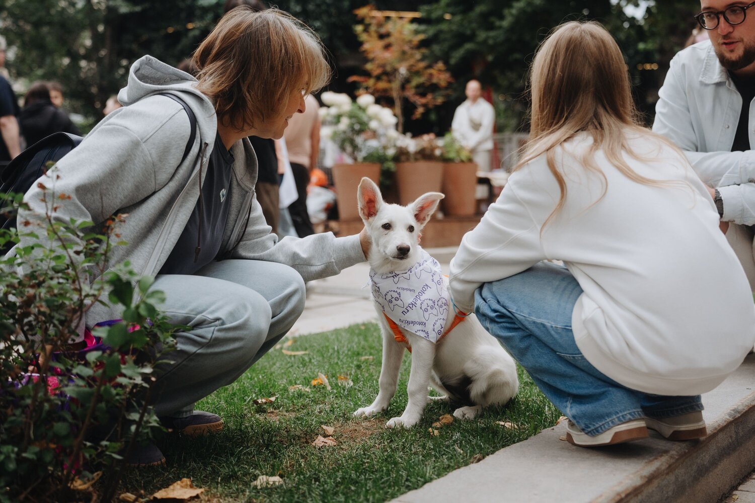 Photo #14030554