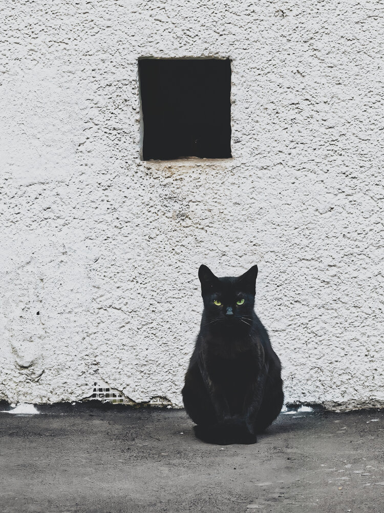Photograph by Елена Чулюнина