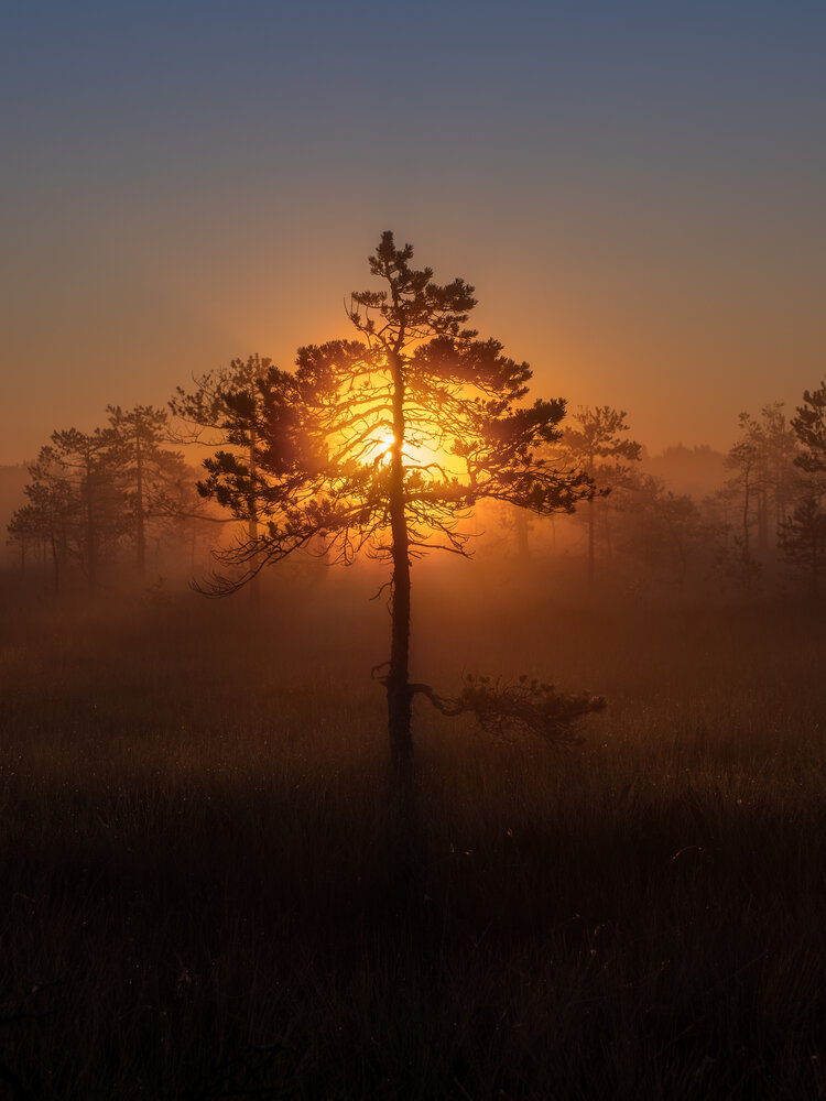 Photograph by Мозжухин Максим