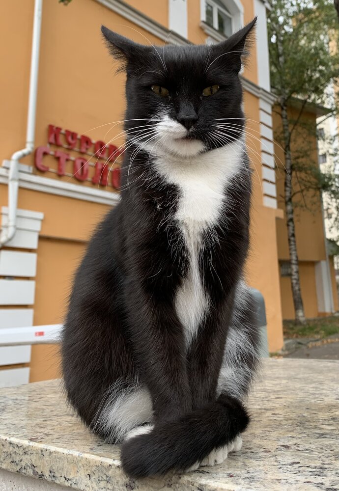Photograph by Игорь Ребров