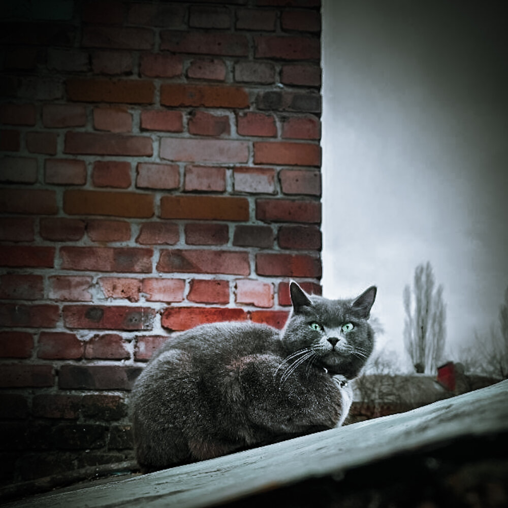 Photograph by Sergey Grin