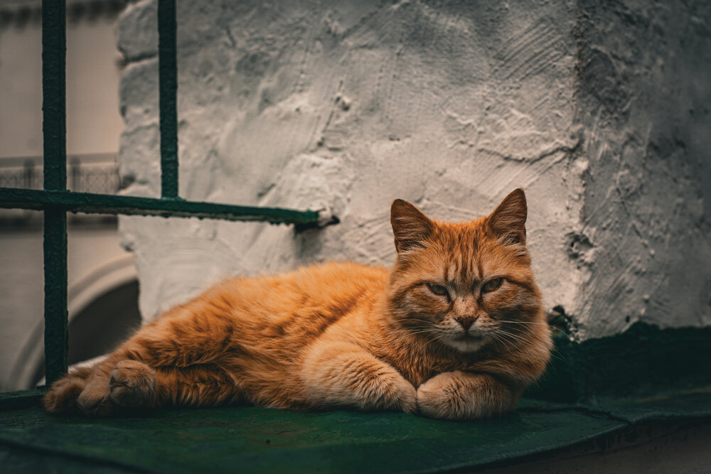 Photograph by Sergey Grin