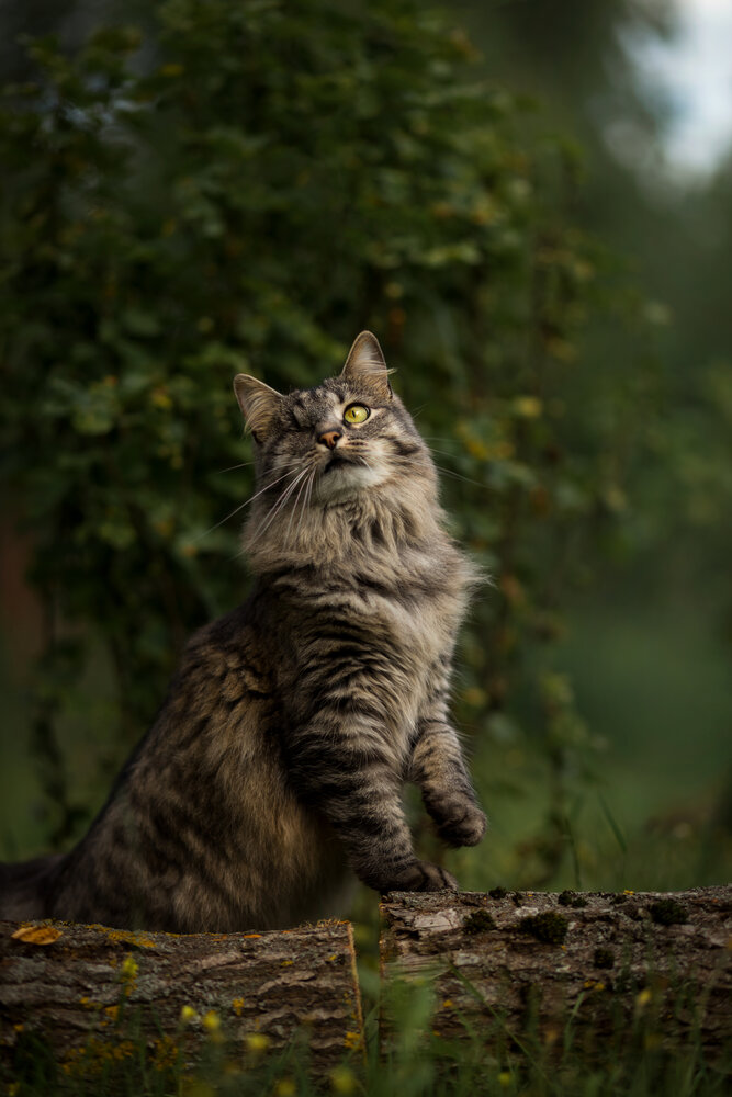 Photograph by Татьяна Радусь