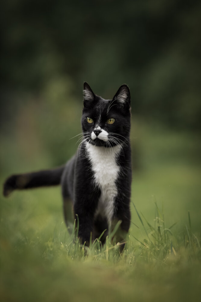Photograph by Татьяна Радусь