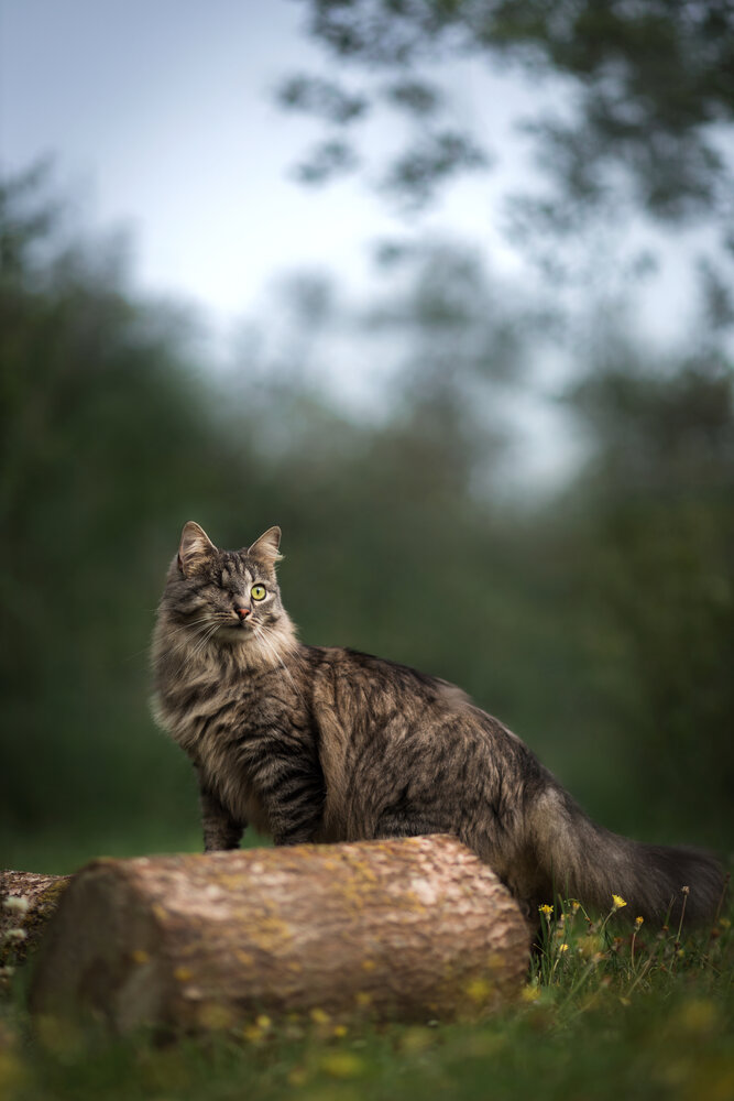 Photograph by Татьяна Радусь
