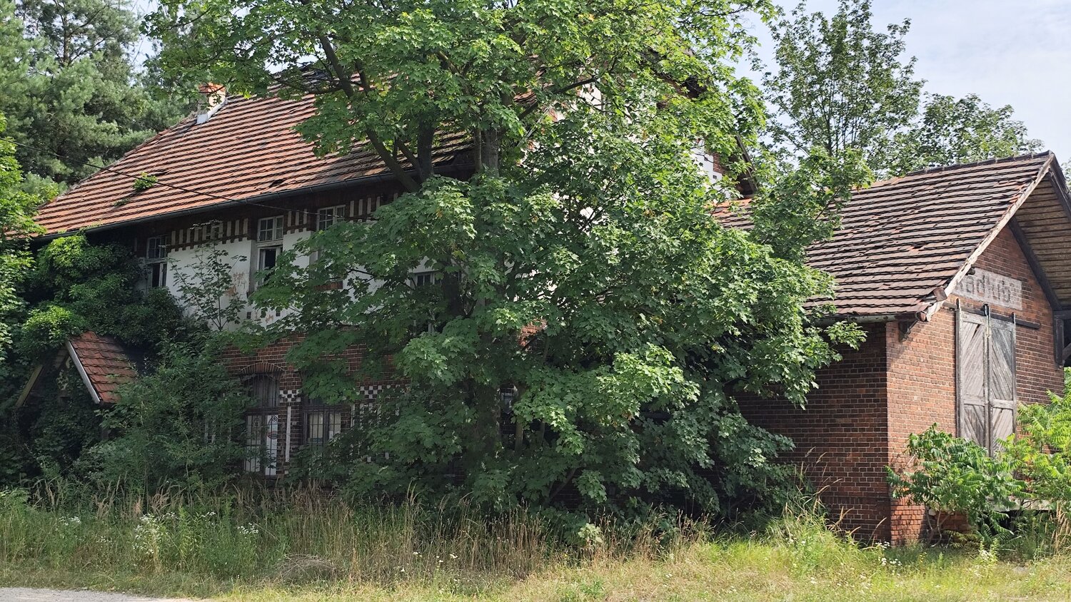 Photo #14030679