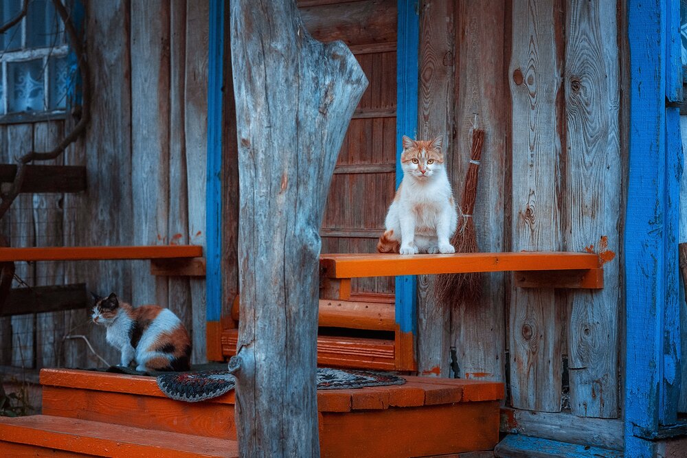 Photograph by Маргарита Матвеенкова