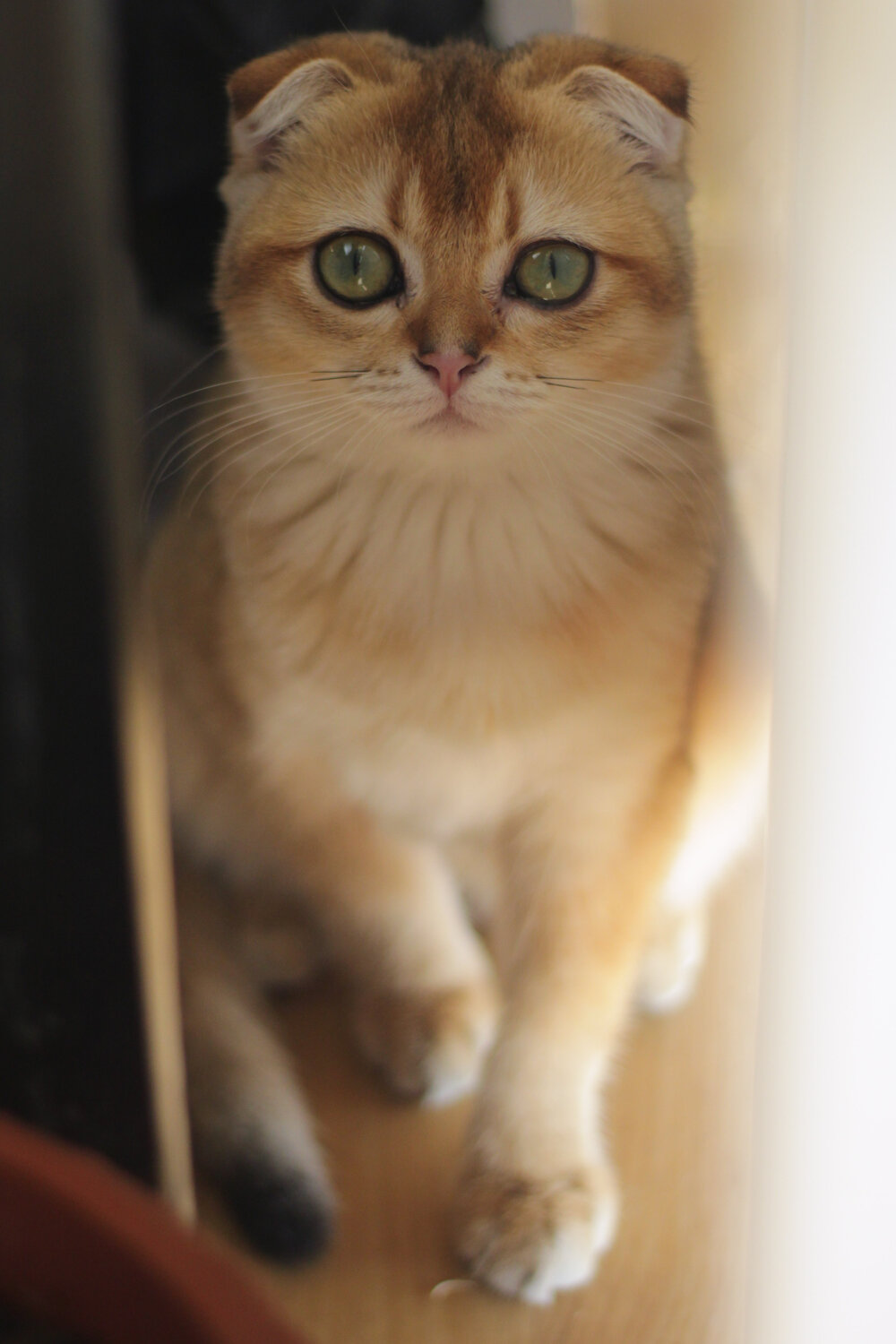 Photo #14030777