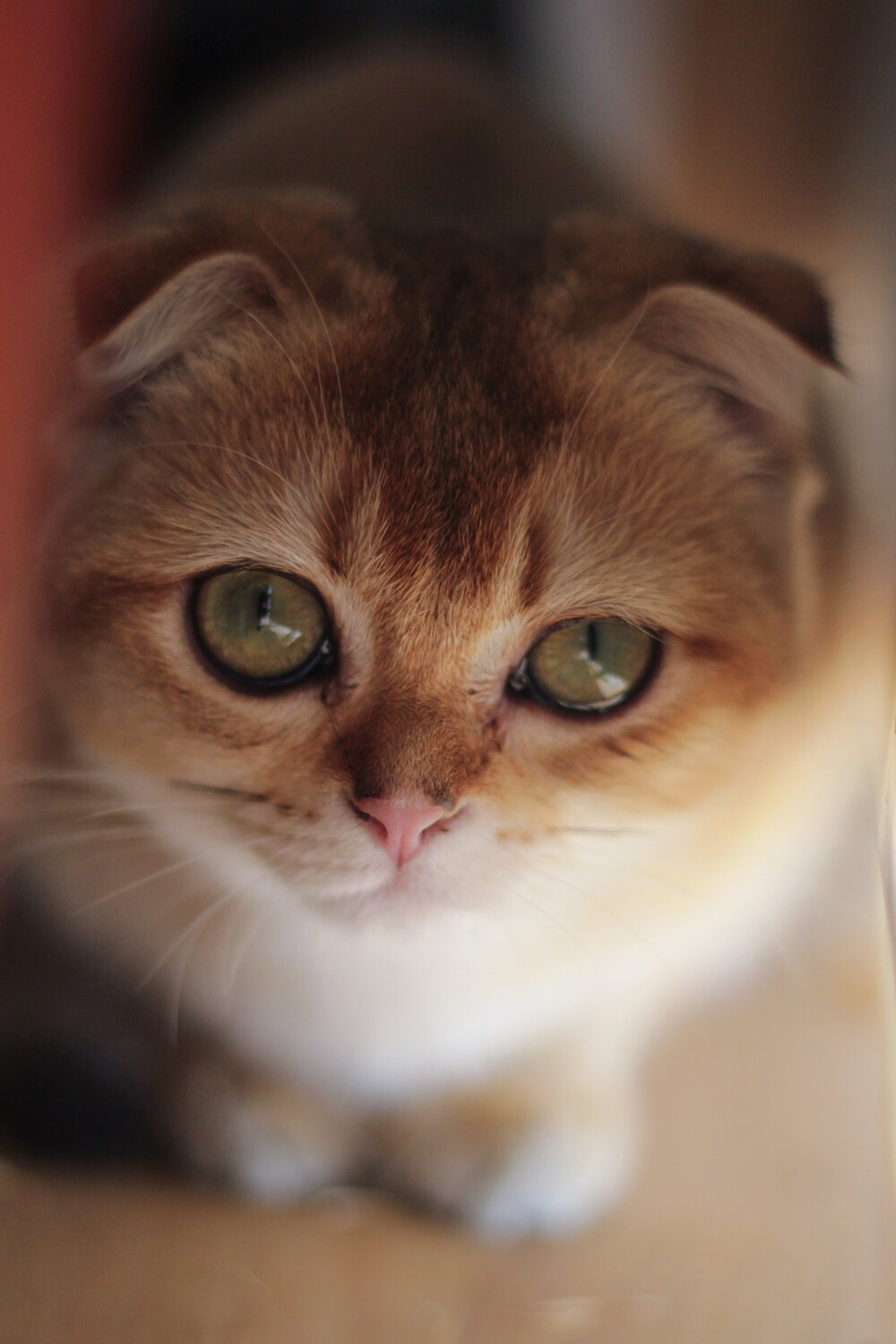 Photo #14030778