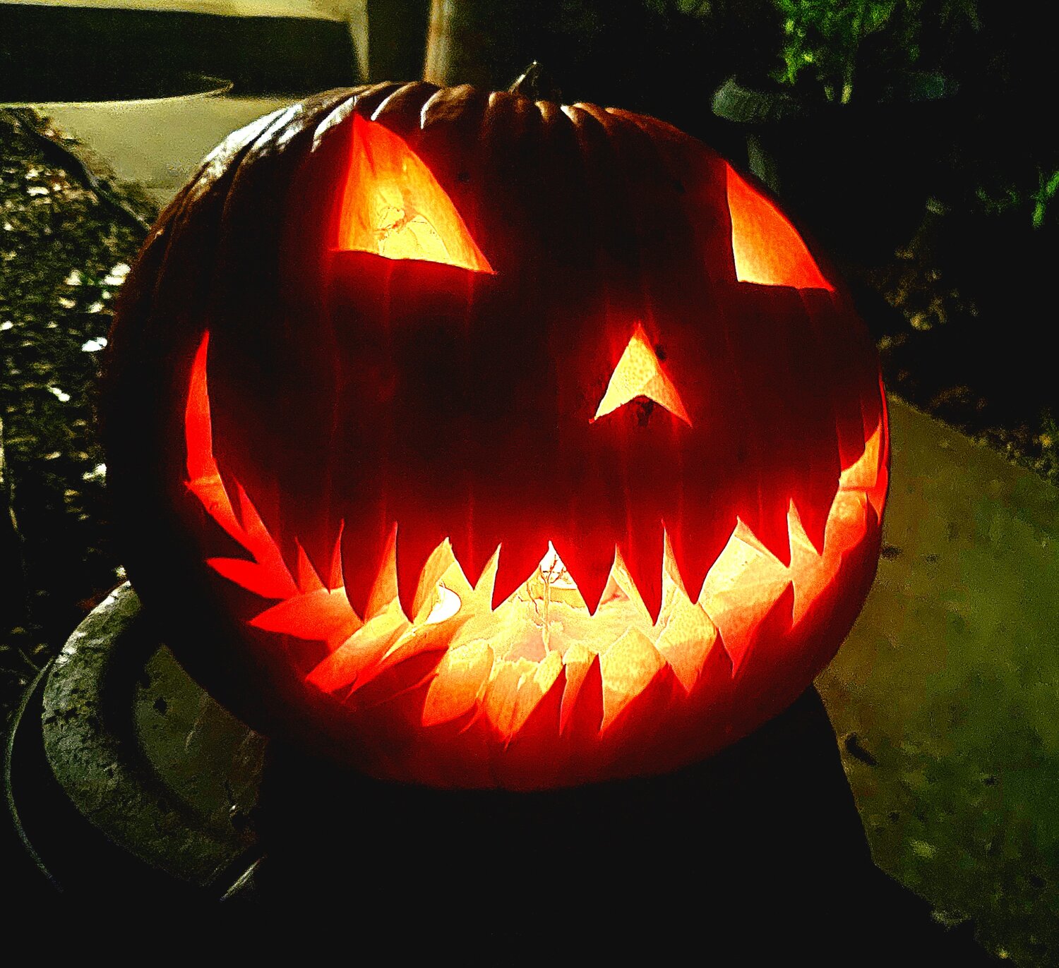 Photo #14030831