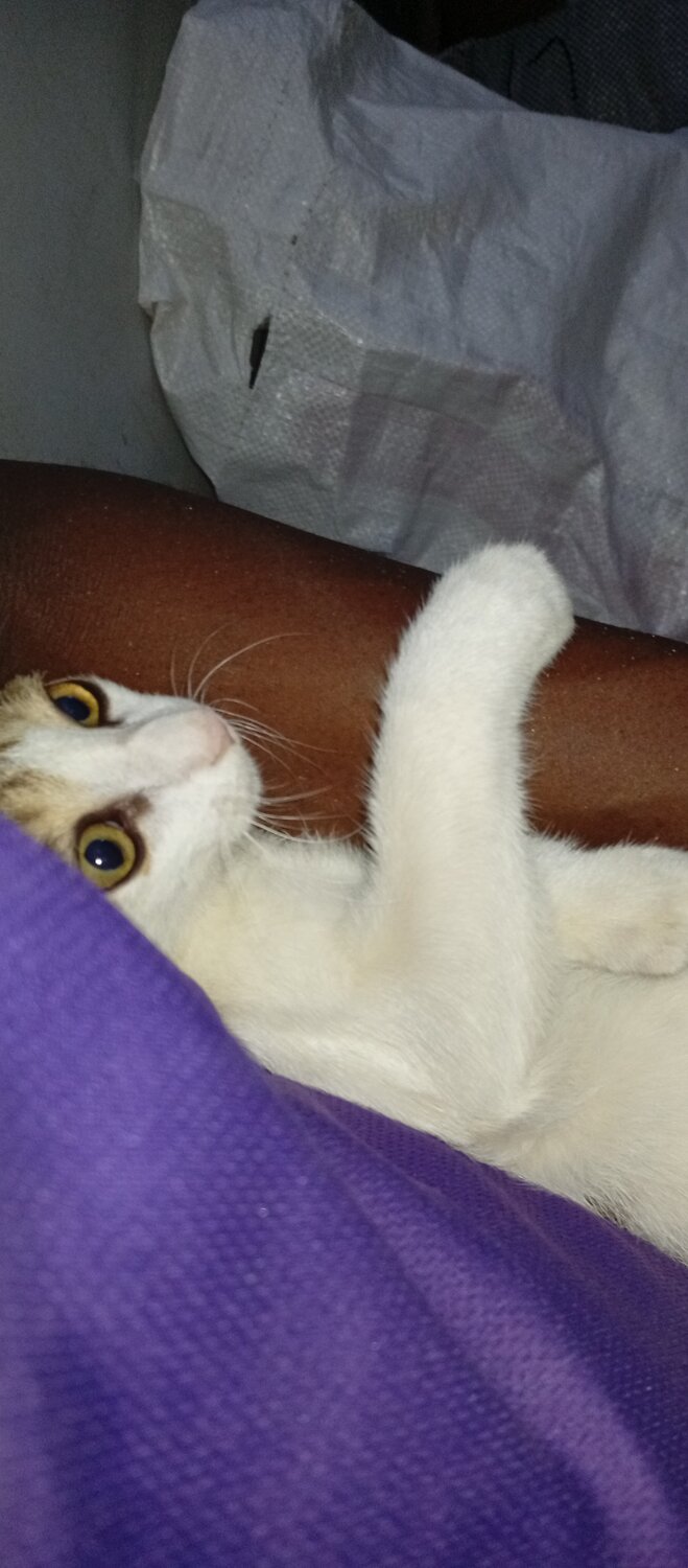 Caught In A Curious Moment