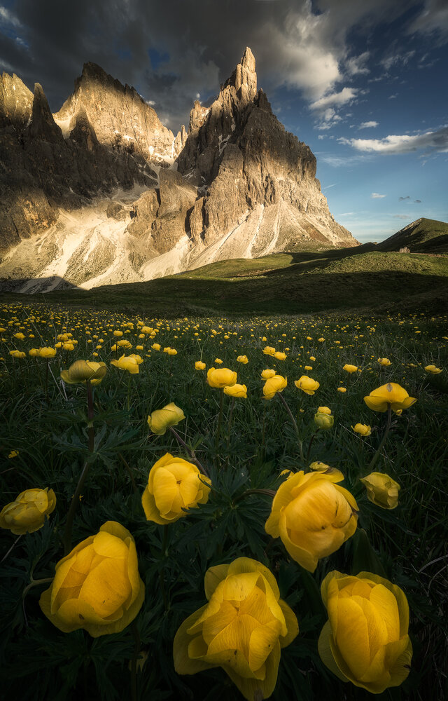 Oro e dolomia