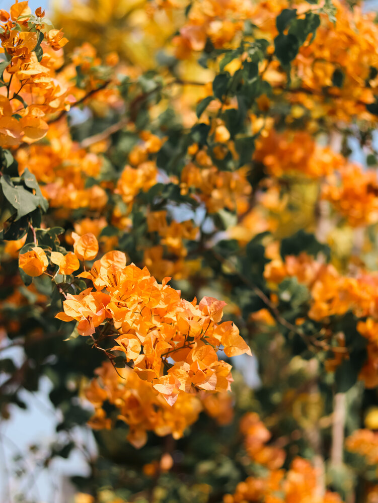 Photograph by Eka Putri Utami