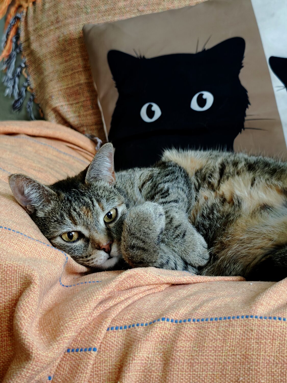 Photo #14030892