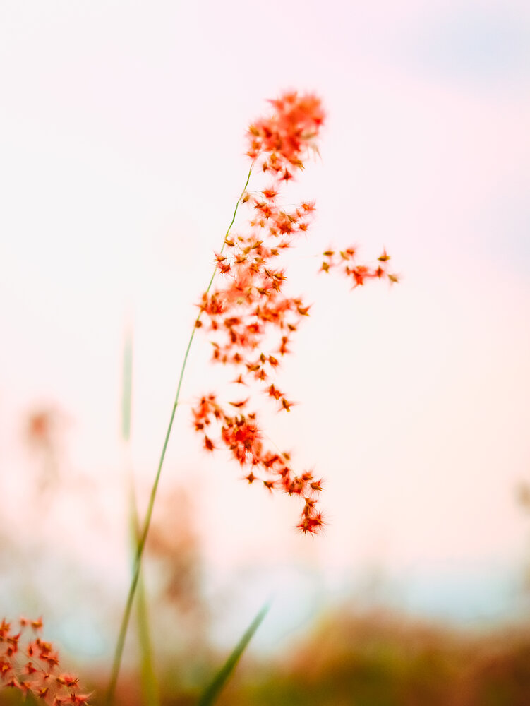 Photograph by Eka Putri Utami