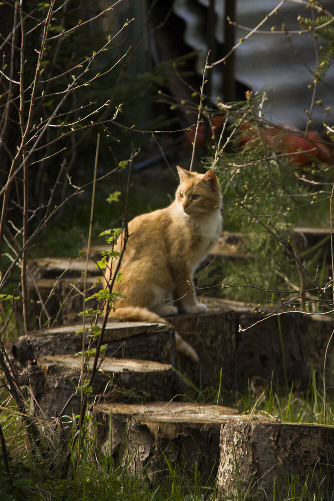 Photograph by Даниил Бреславский
