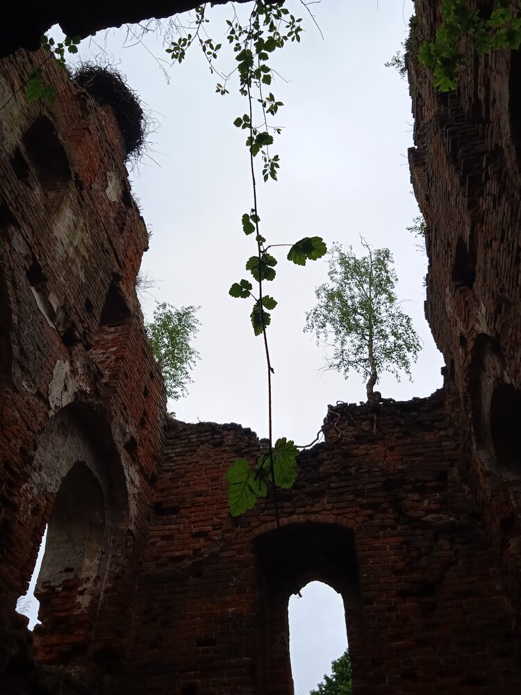Фотография автора Наталия Колемасова