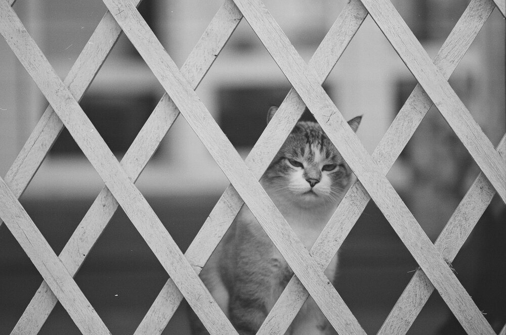 Photograph by Михаил Дронов