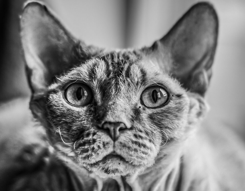Photograph by Александр Соколов