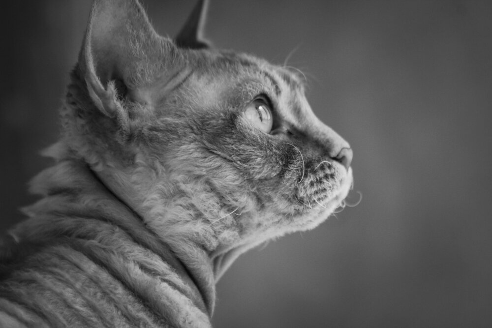 Photograph by Александр Соколов