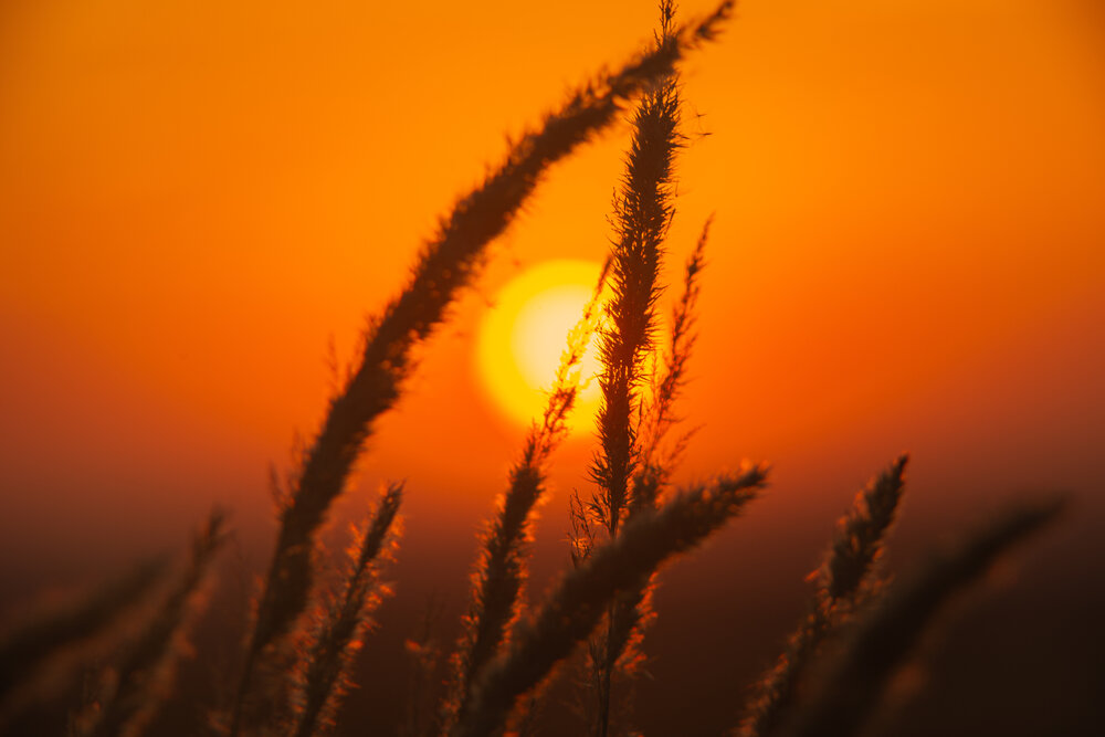 Photograph by Денис Хасанов
