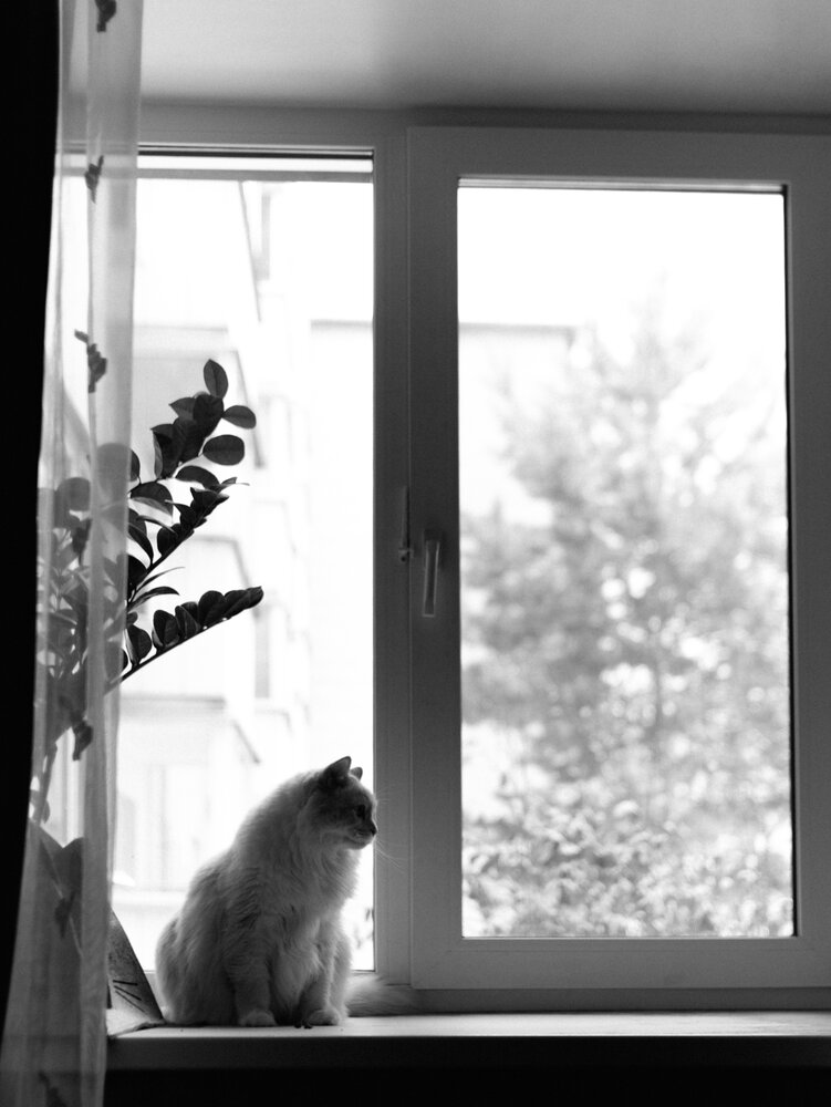 Photograph by Янина Рейфер