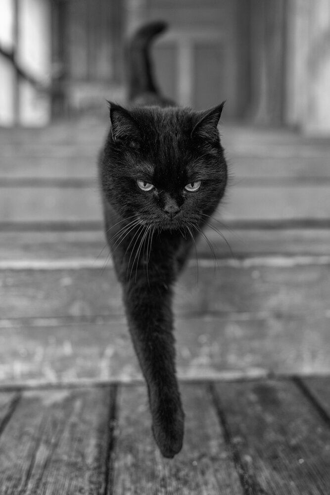 Photograph by Сергей Вячеславович