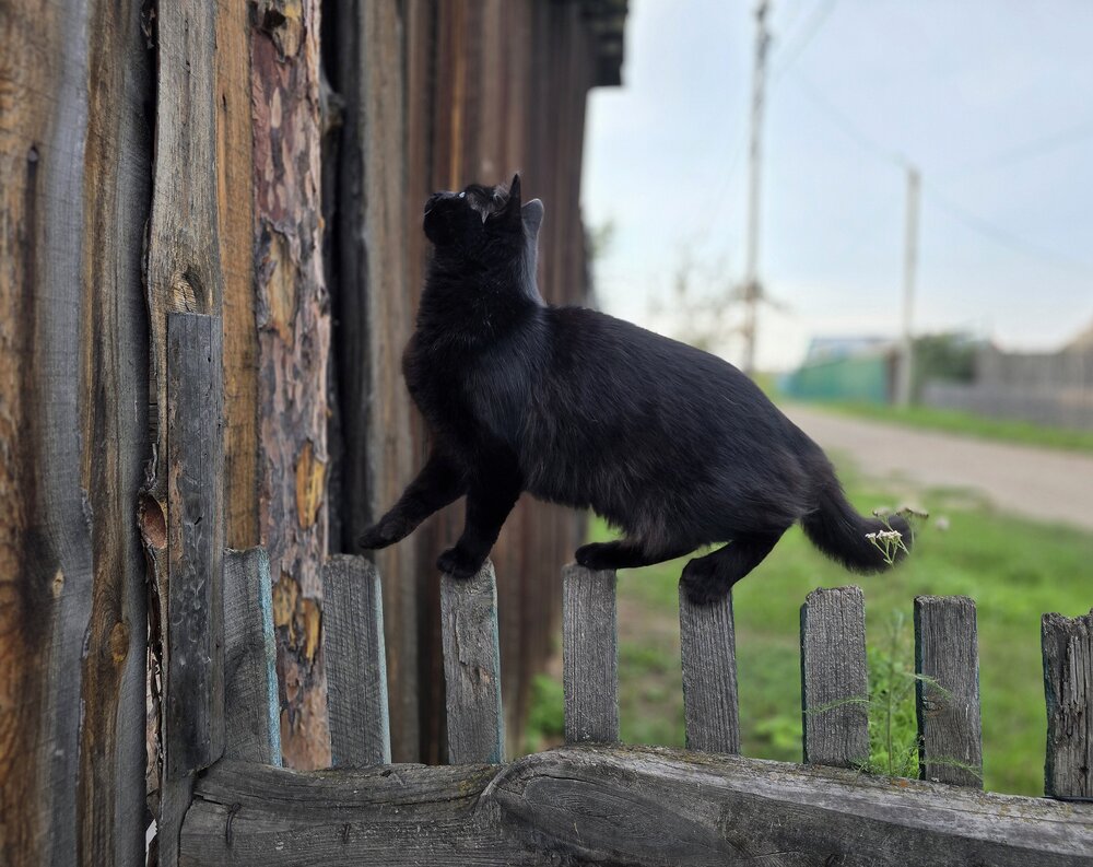 Photograph by Василина Курносова