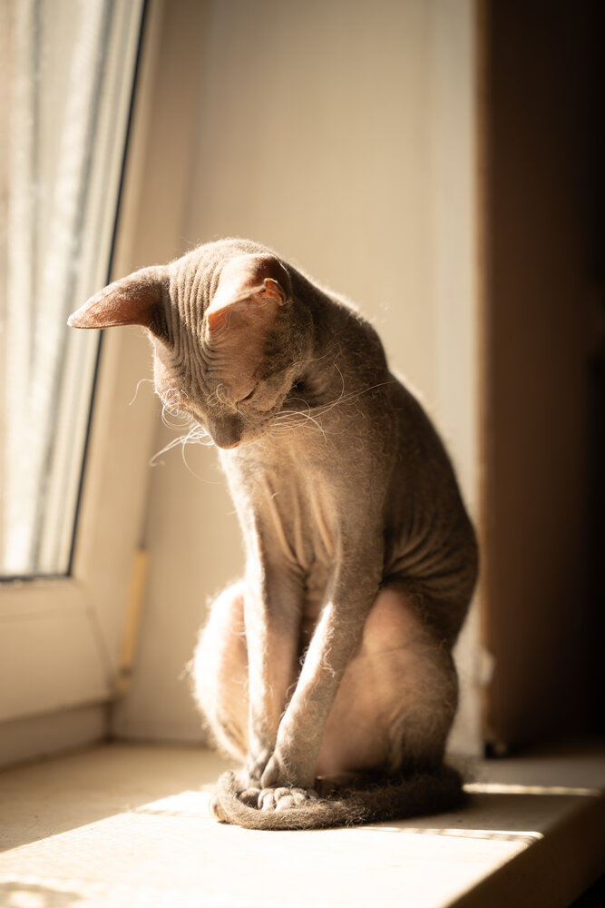 Photograph by Владимир Виноградов