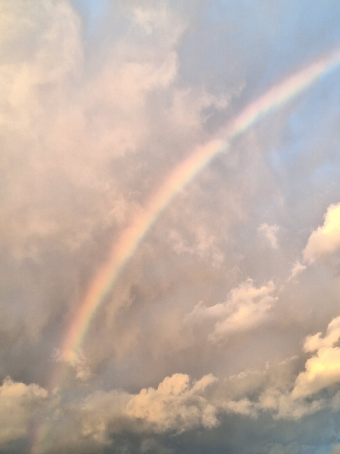 Photo #14031196