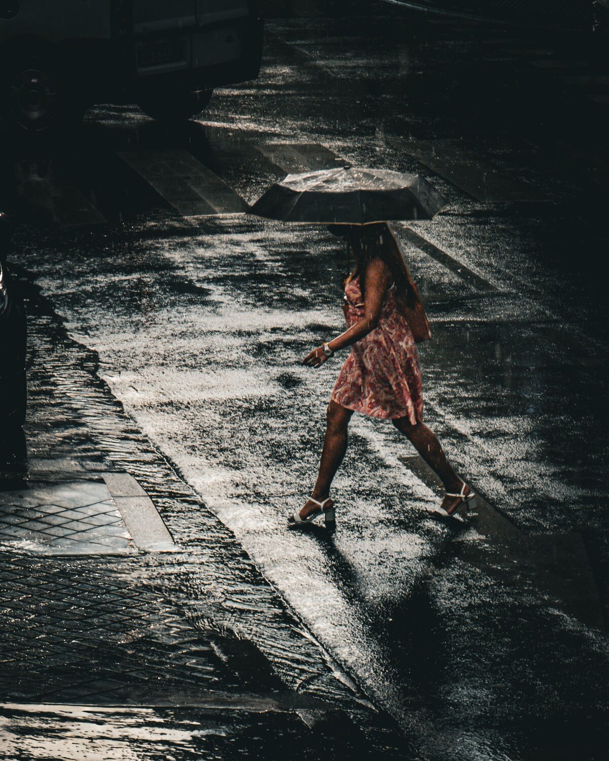 Photo #14031207