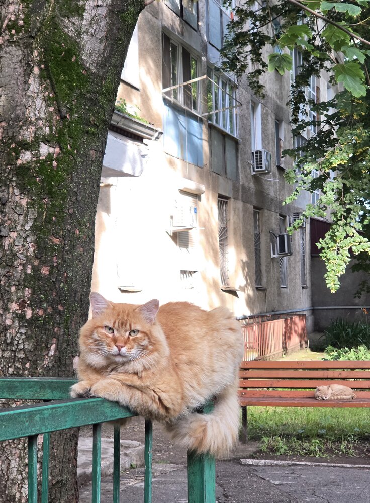 Photograph by Natalia Cuciaș