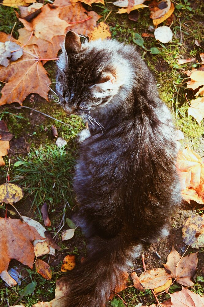 Photograph by Елизавета Силова