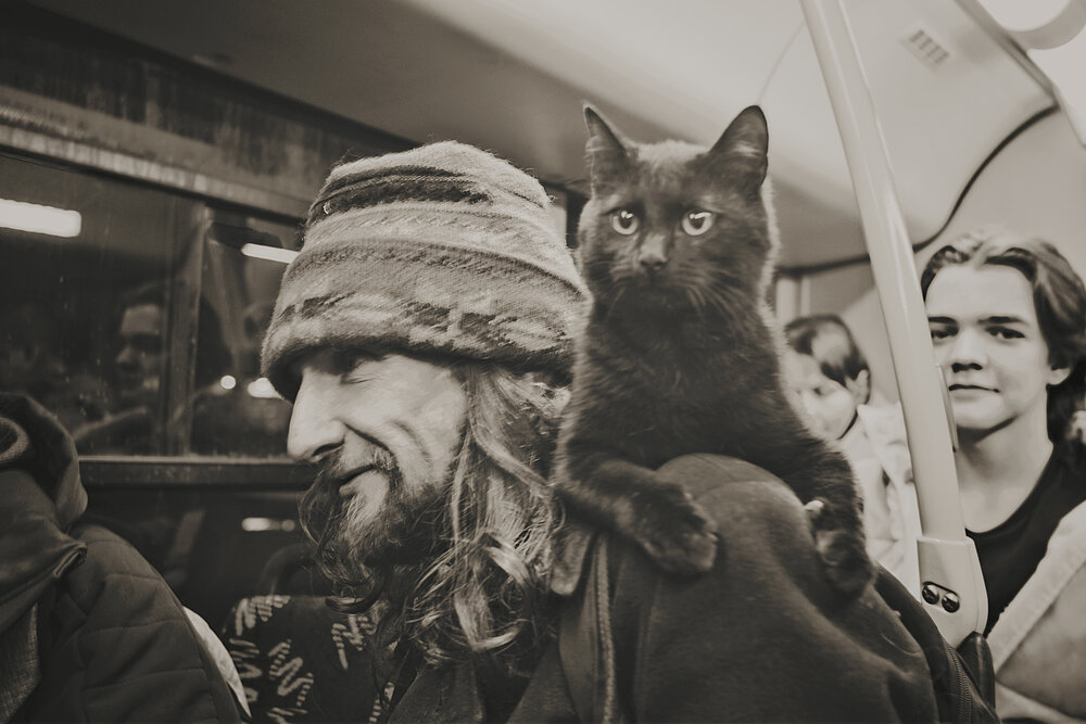Photo #14031331