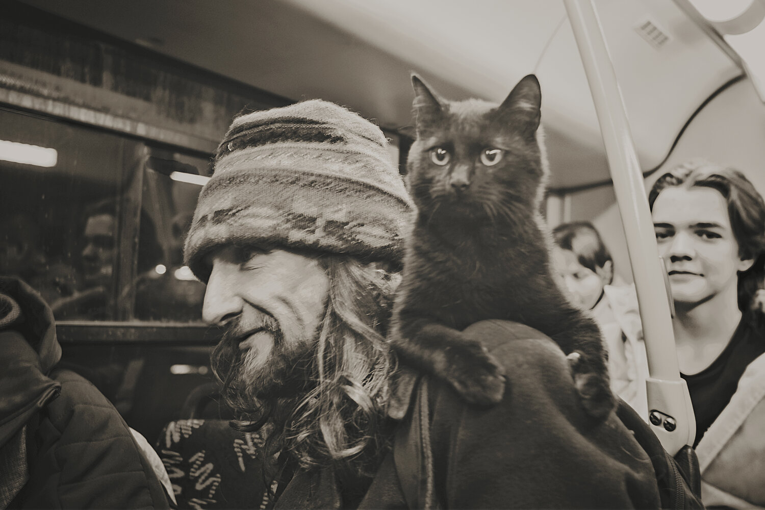 Photo #14031331