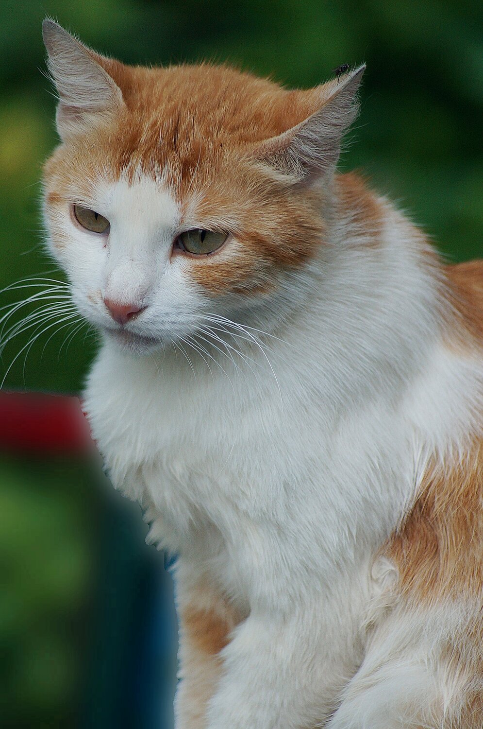 Photo #14031336