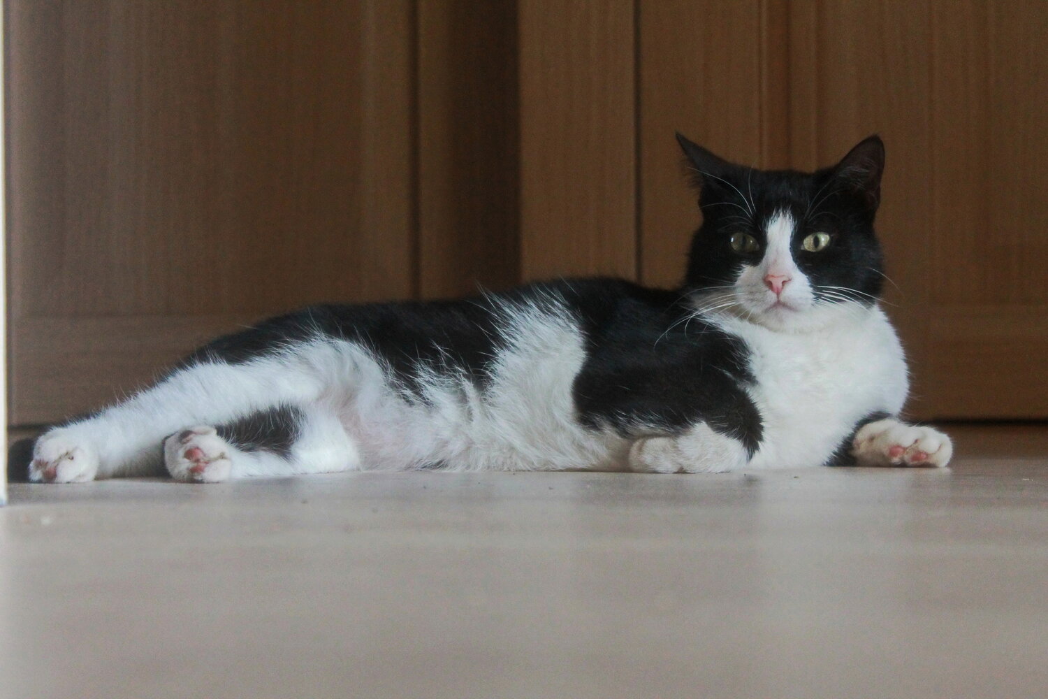 Photo #14031407