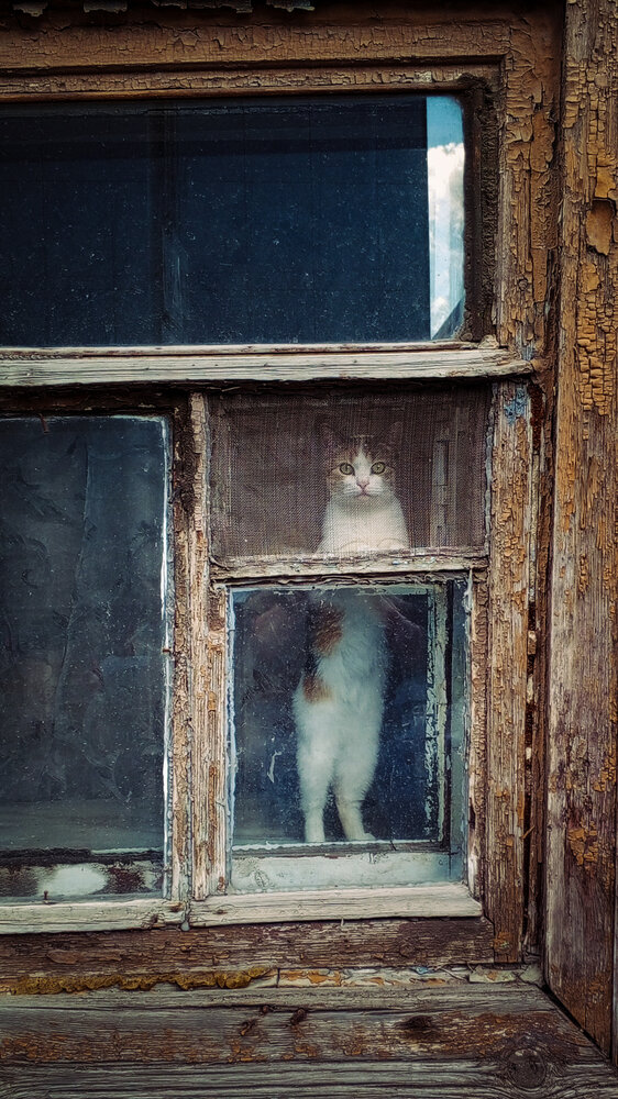Photograph by Ольга Серова