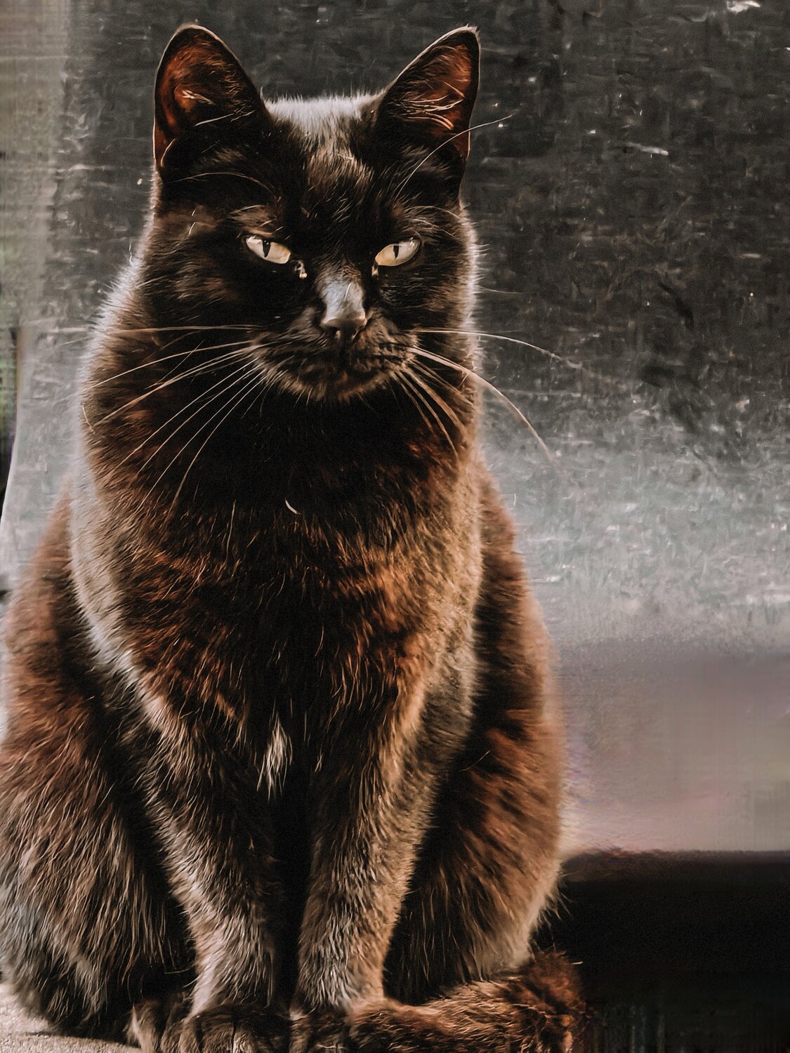 Photo #14031480
