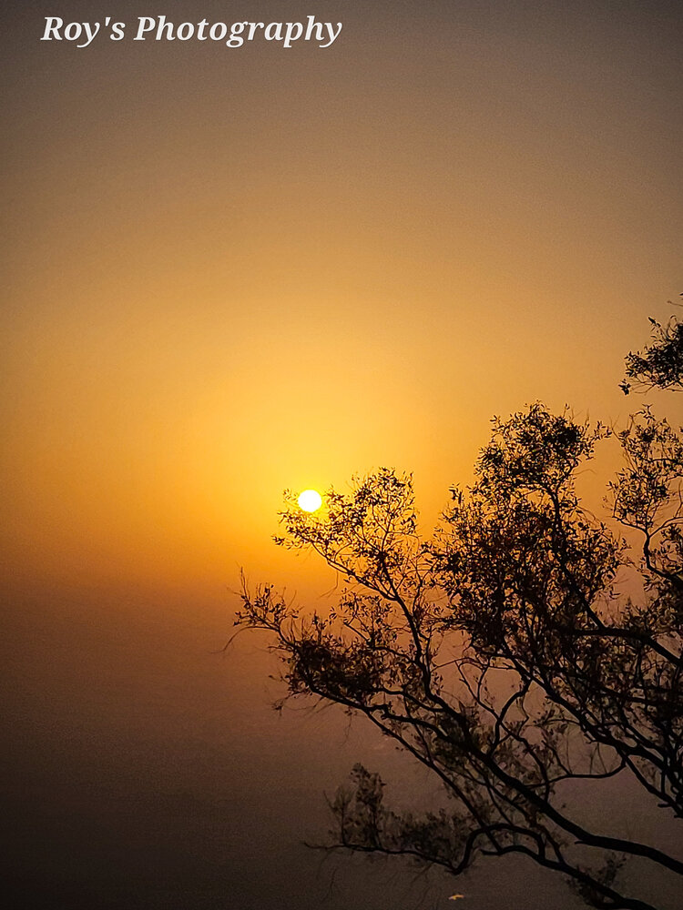 Photograph by Medhadip Roy