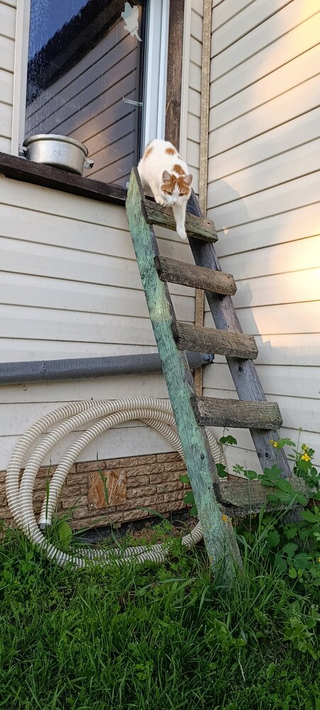 Photo #14031552